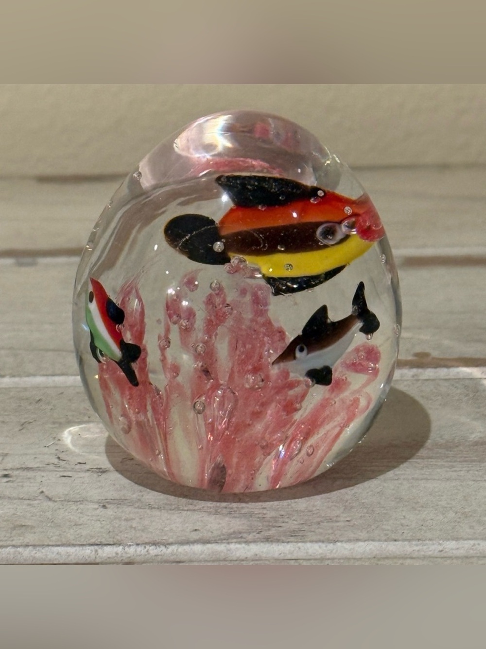 Vintage Art Glass Egg Fish Paperweight Tropical Coral Aquarium Coastal Decor